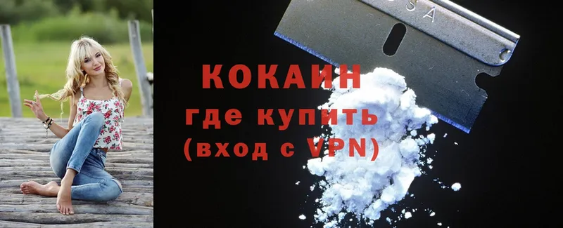 купить закладку  Ладушкин  Cocaine VHQ 